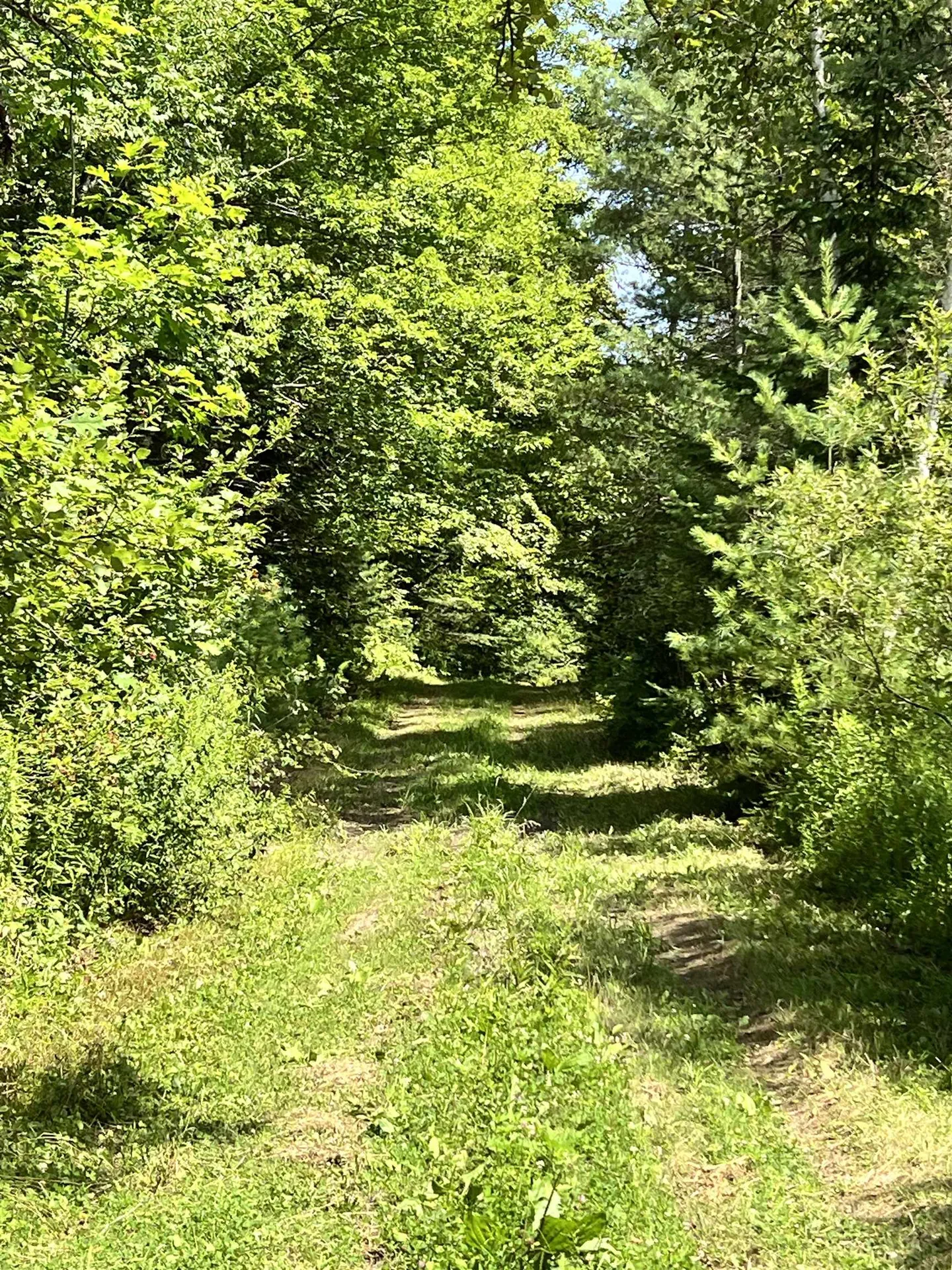 1350 Nh Route 25a Orford NH 03777