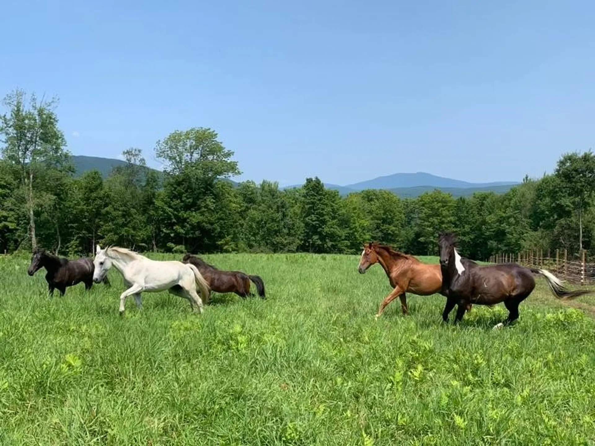 1350 Nh Route 25a Orford NH 03777