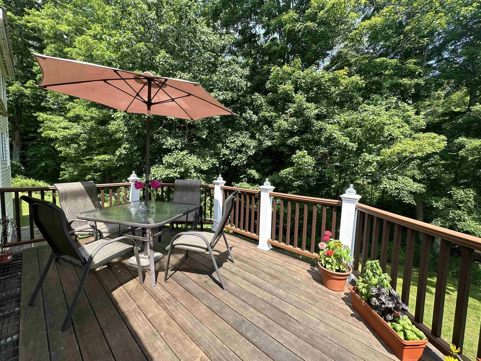 456 Grafton Road Townshend VT 05353