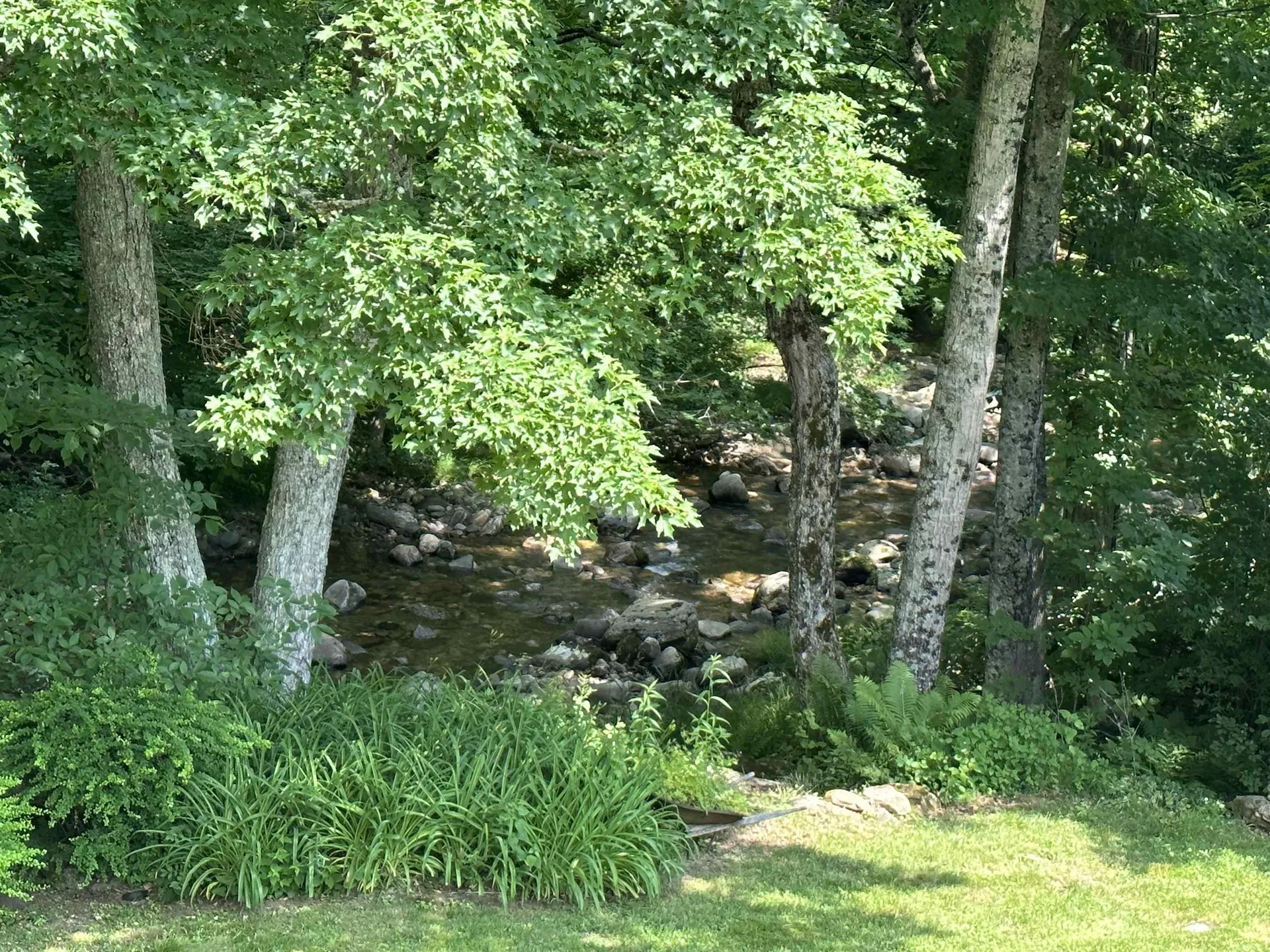 456 Grafton Road Townshend VT 05353
