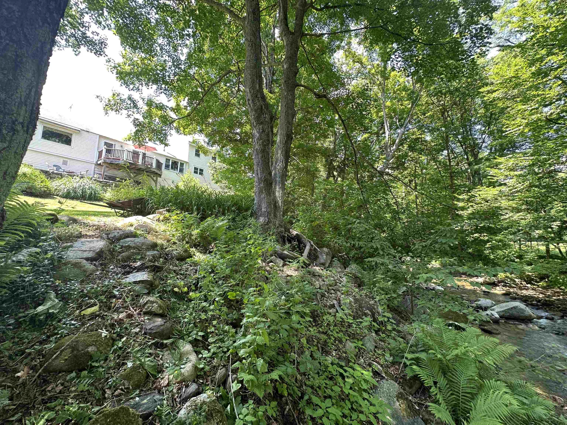456 Grafton Road Townshend VT 05353