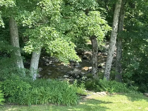 456 Grafton Road Townshend VT 05353