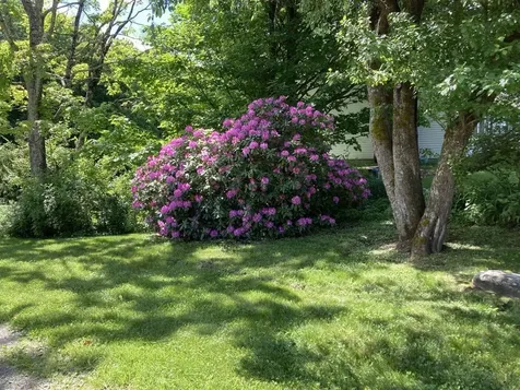 456 Grafton Road Townshend VT 05353