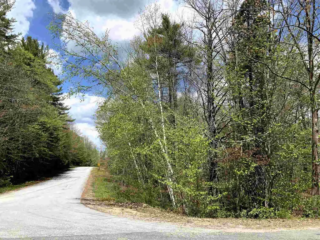 Lot 2 Dick Brown Road Bridgewater NH 03222