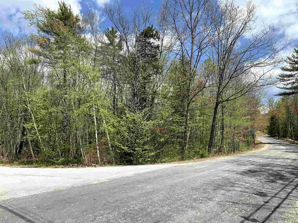 Lot 2 Dick Brown Road Bridgewater NH 03222