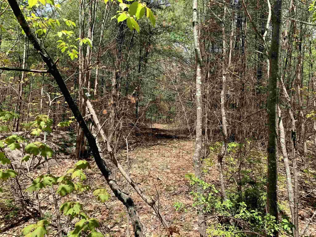 Lot 2 Dick Brown Road Bridgewater NH 03222