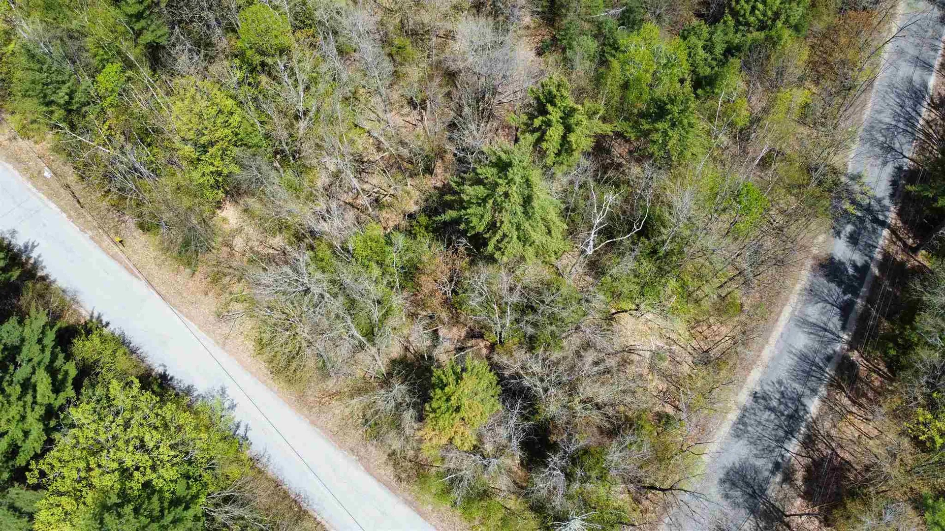 Lot 2 Dick Brown Road Bridgewater NH 03222