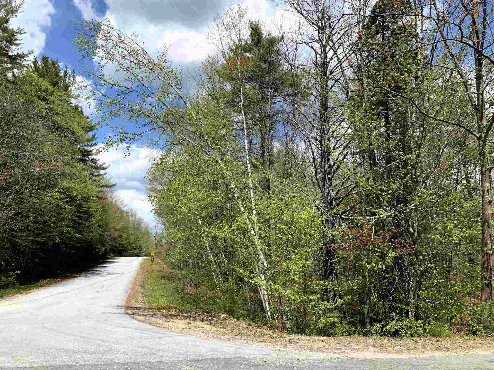 Lot 2 Dick Brown Road Bridgewater NH 03222