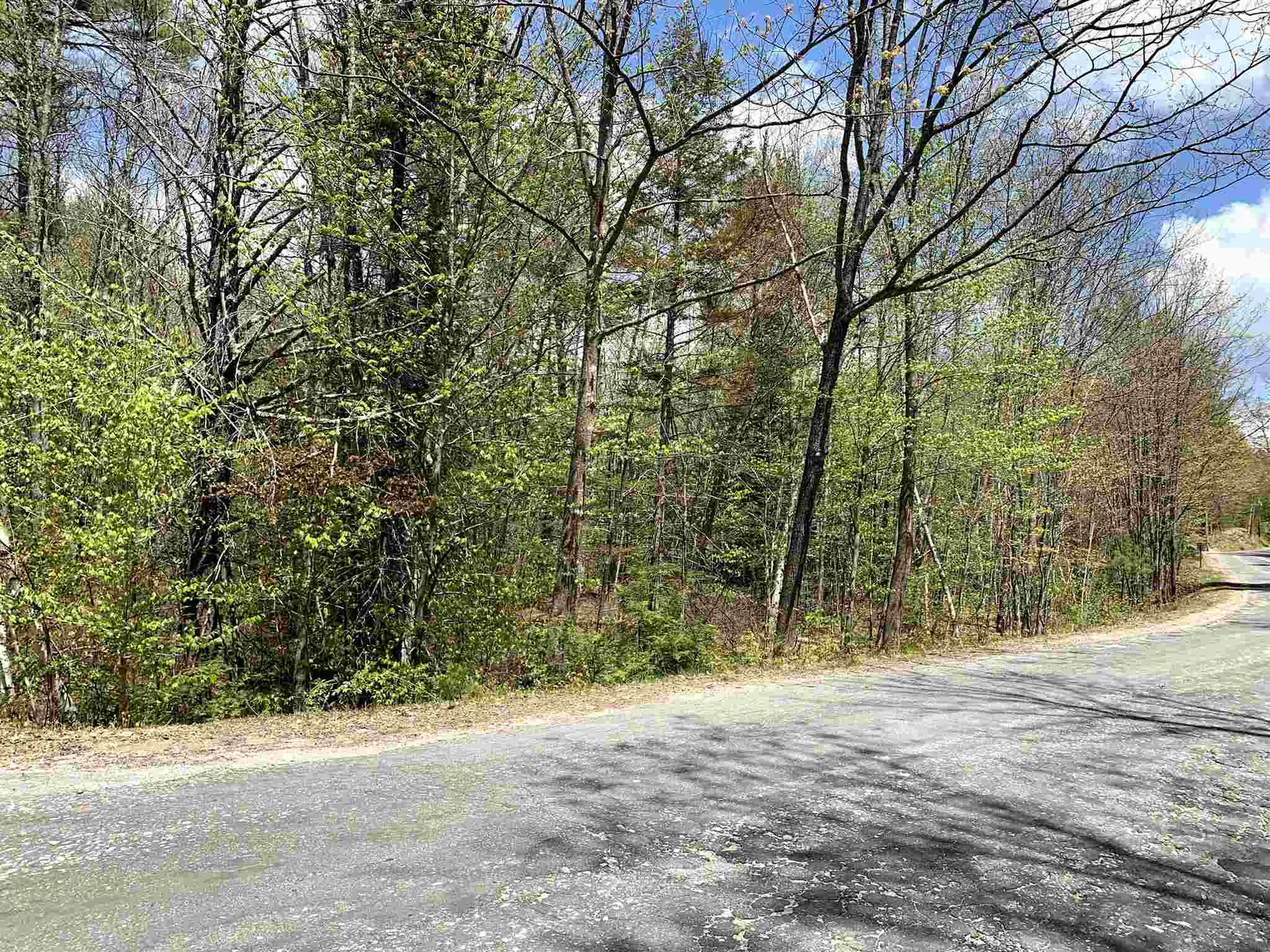 Lot 2 Dick Brown Road Bridgewater NH 03222