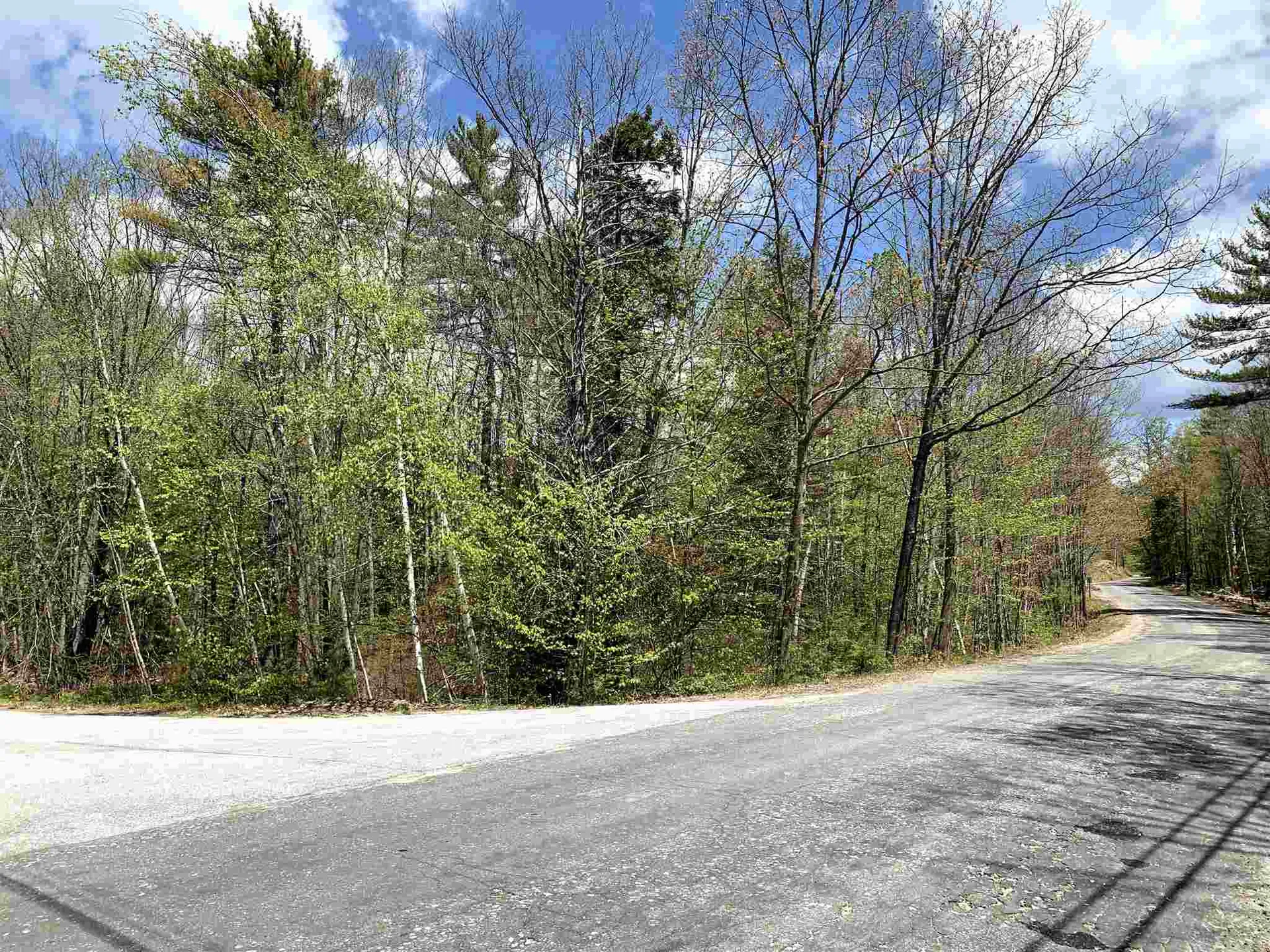 Lot 2 Dick Brown Road Bridgewater NH 03222