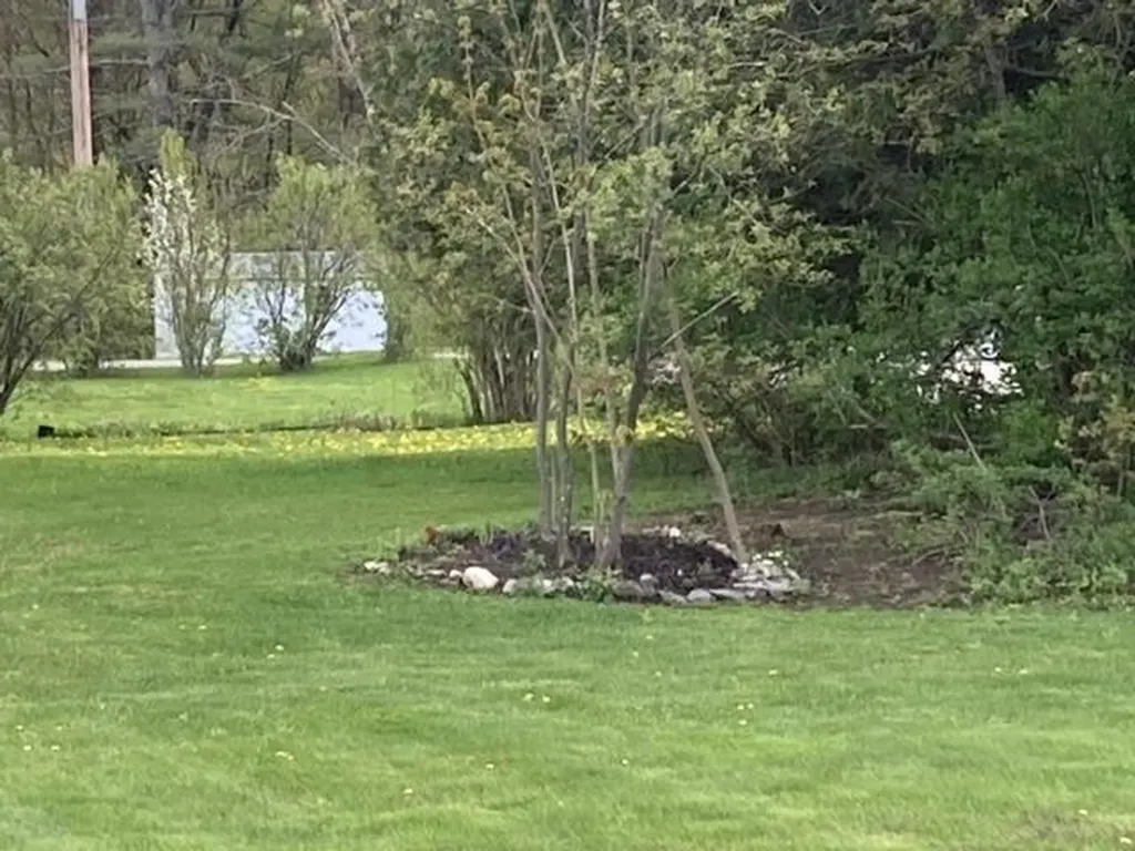 59 Audy Lane Morristown VT 05661