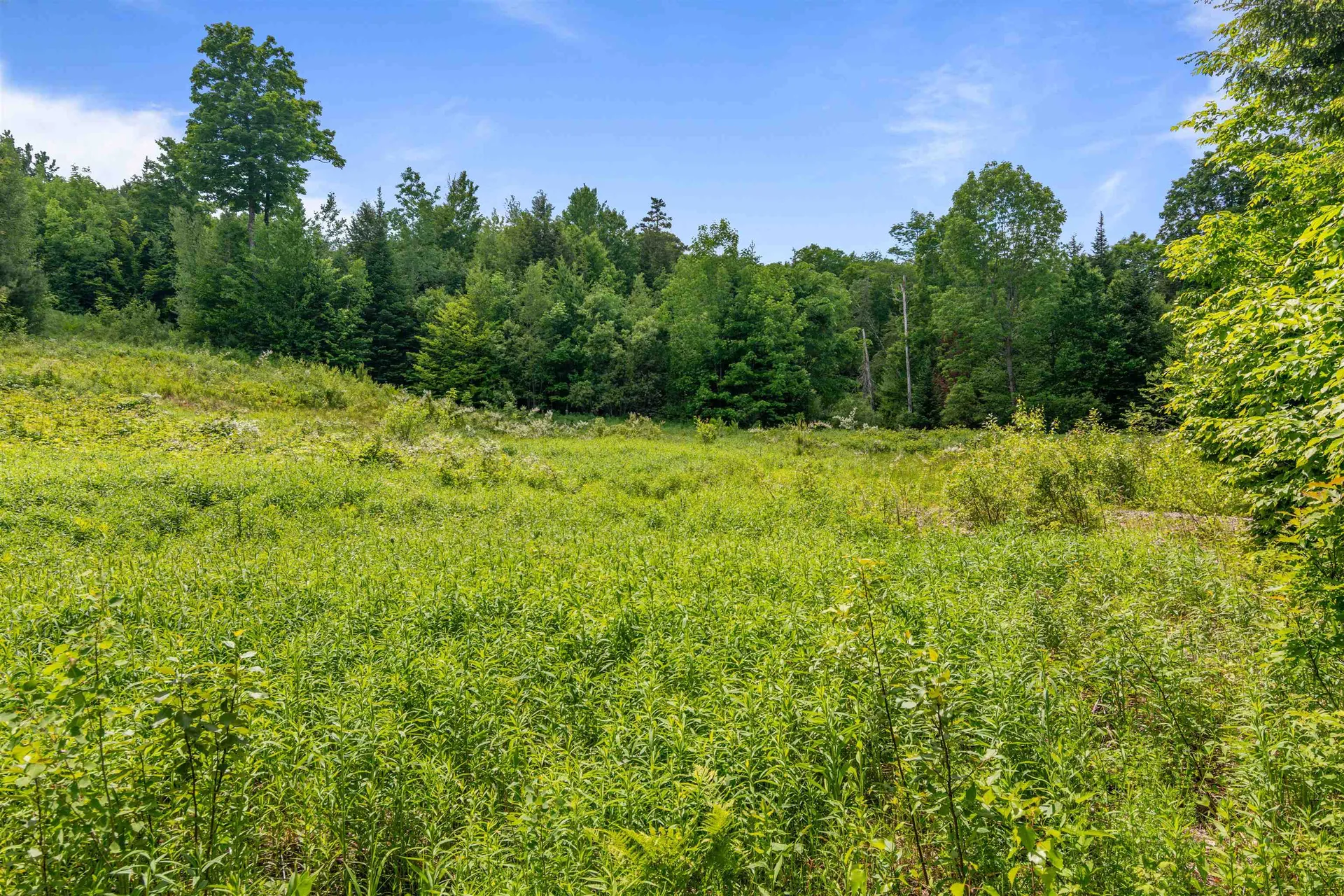 2285 Sterling Valley Road Morristown VT 05661