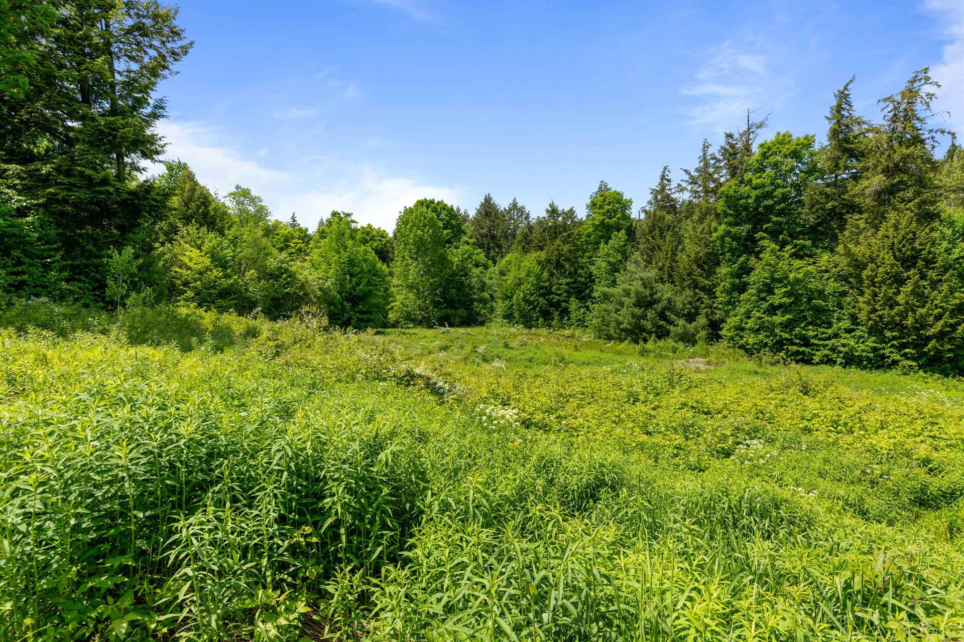 2285 Sterling Valley Road Morristown VT 05661