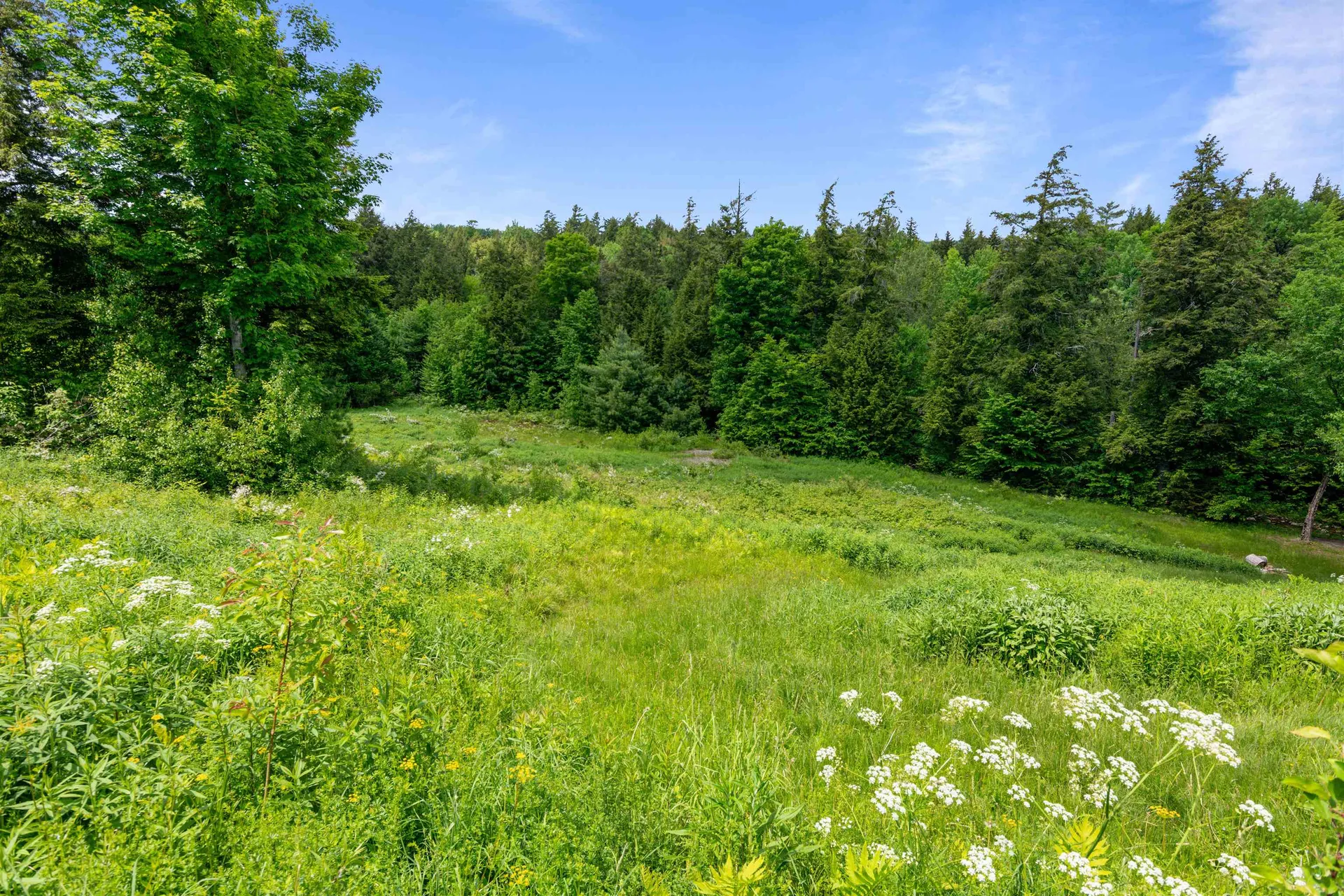 2285 Sterling Valley Road Morristown VT 05661