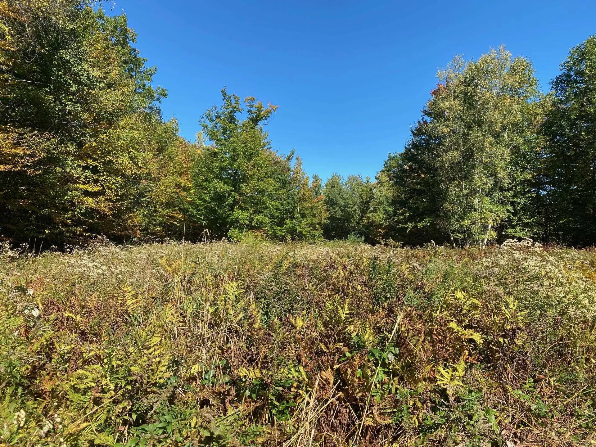 00 West Meadow Road Newbury NH 03255