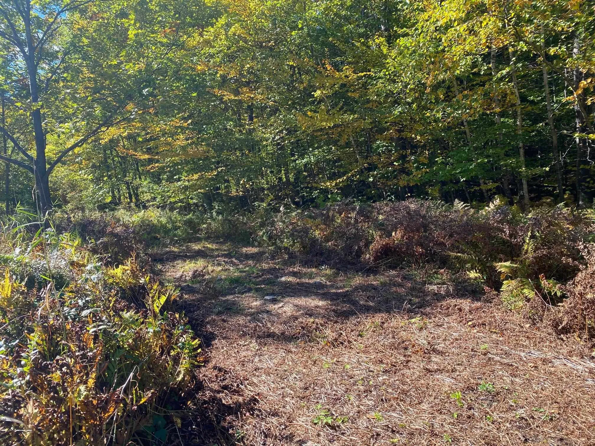 00 West Meadow Road Newbury NH 03255