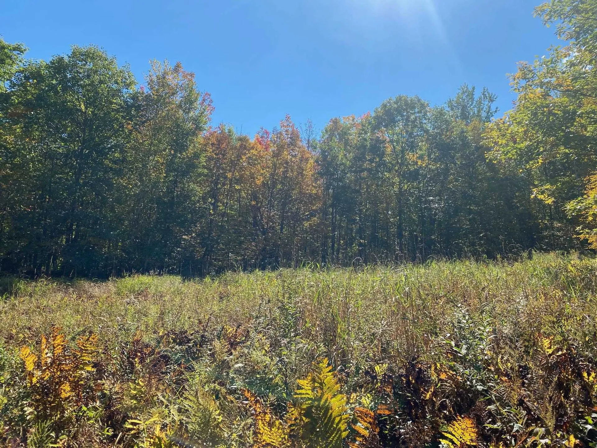 00 West Meadow Road Newbury NH 03255