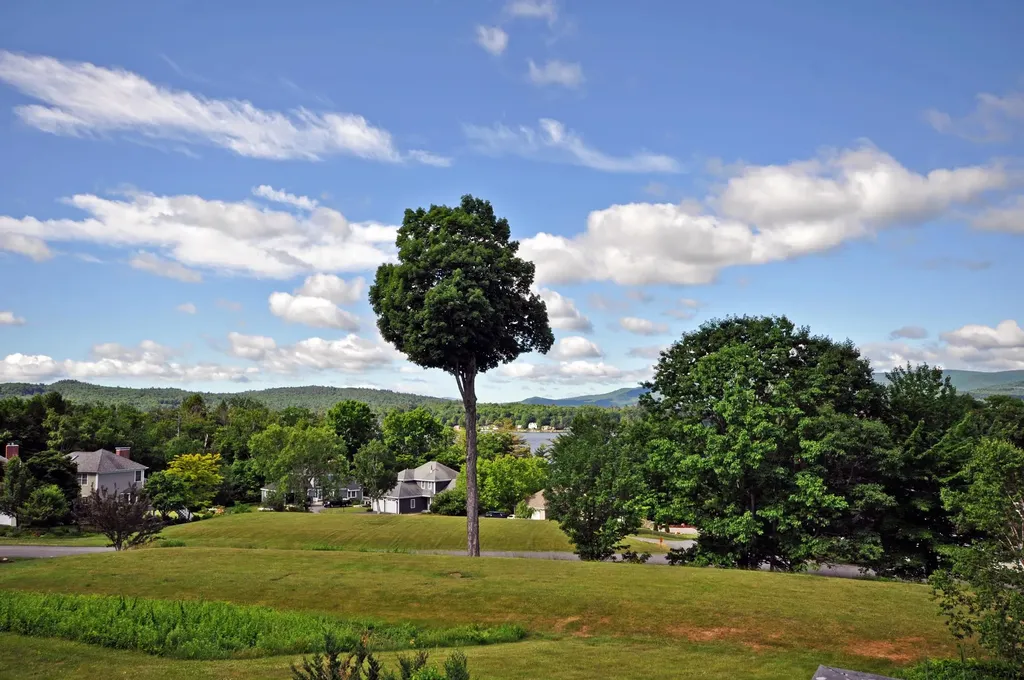 16 Mohawk Trail Bridgewater NH 03222