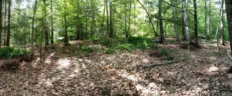 420 Sutton Road Newbury NH 03255