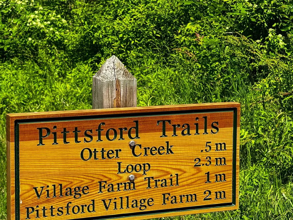 61 Gorham Bridge Road Proctor VT 05765