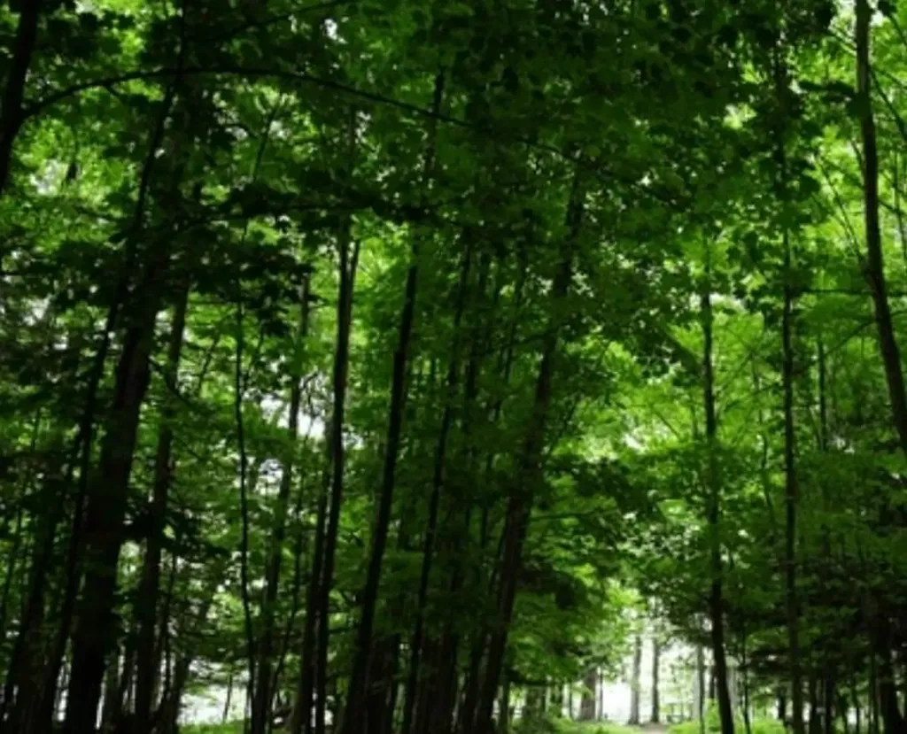 Map 49 Lot30 Stratford Drive Barnstead NH 03281
