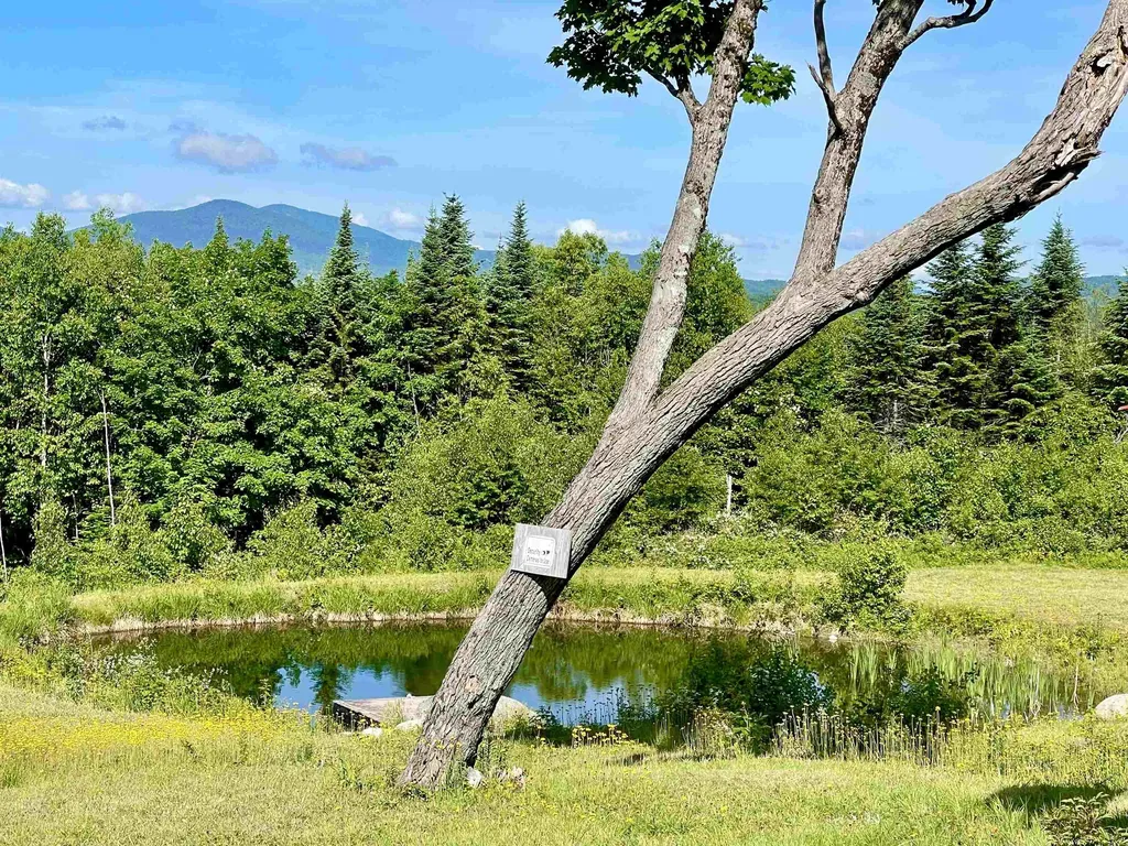 6270 Granby Road Granby VT 05840