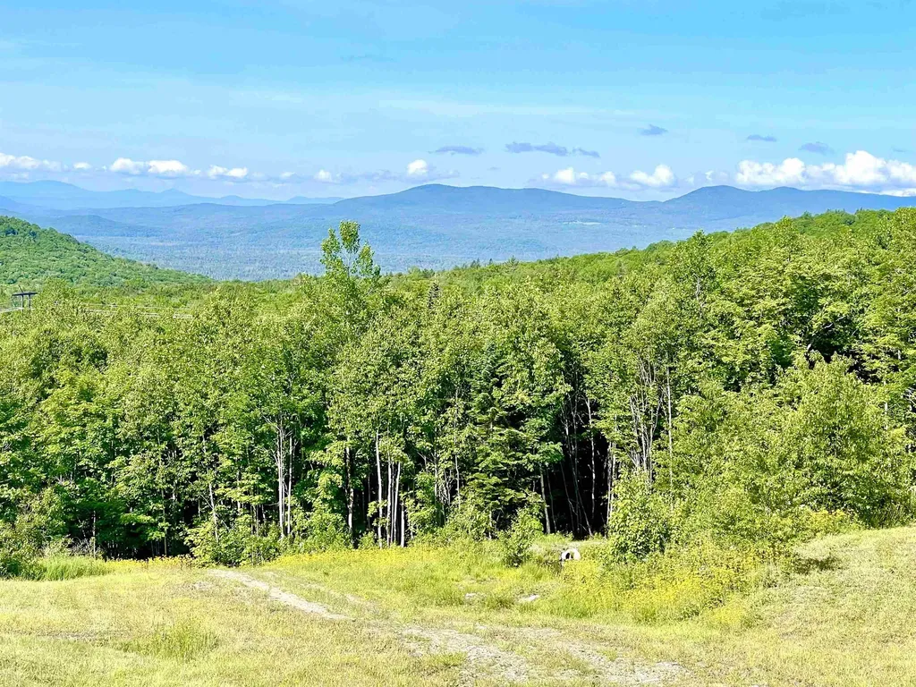 6270 Granby Road Granby VT 05840