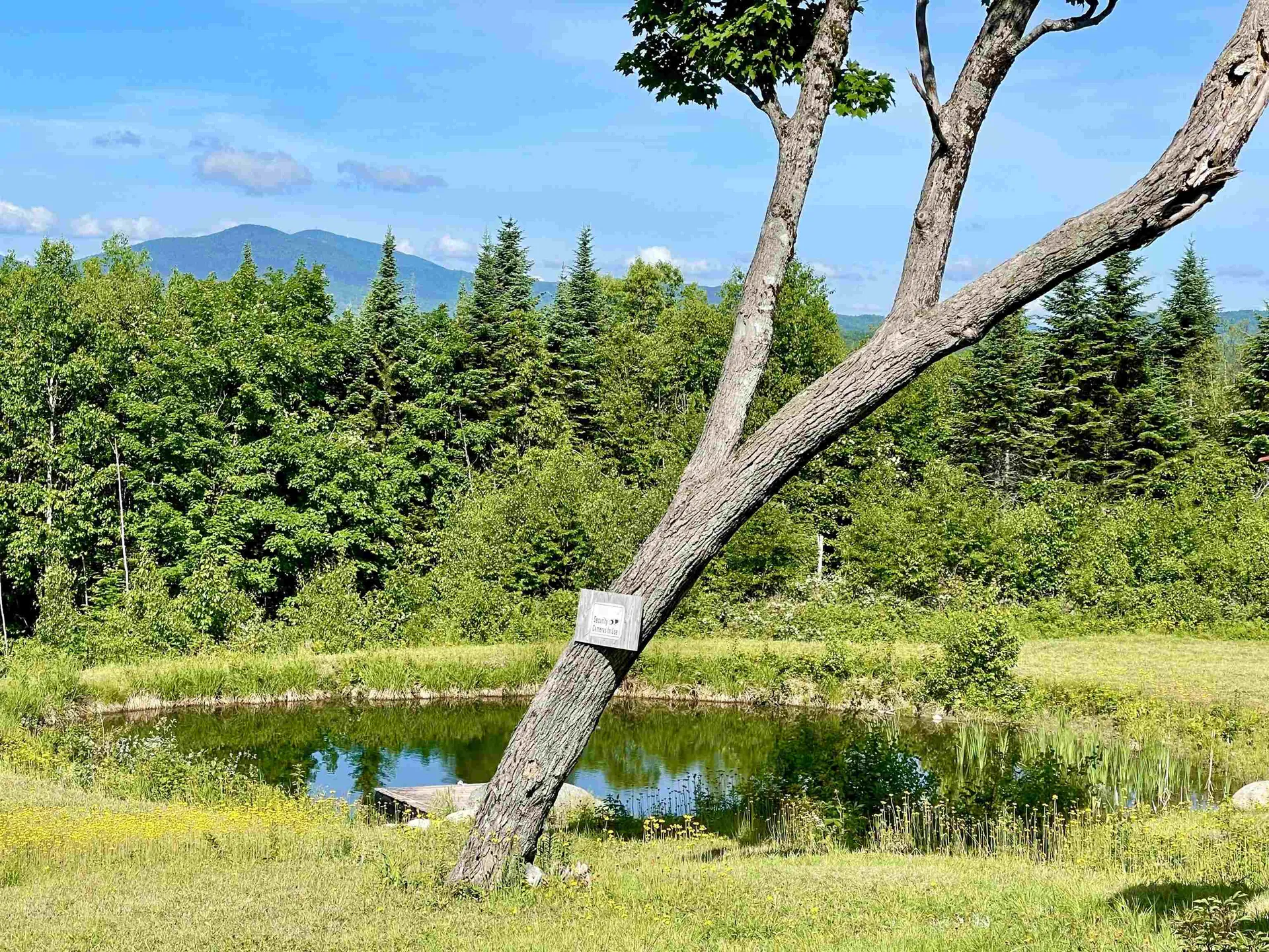 6270 Granby Road Granby VT 05840
