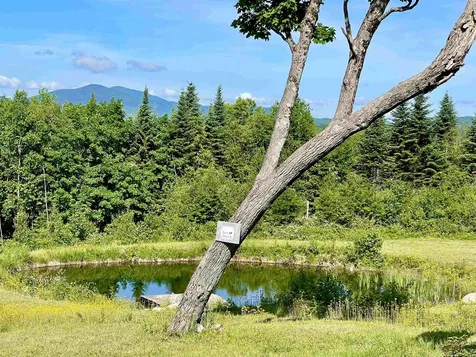 6270 Granby Road Granby VT 05840