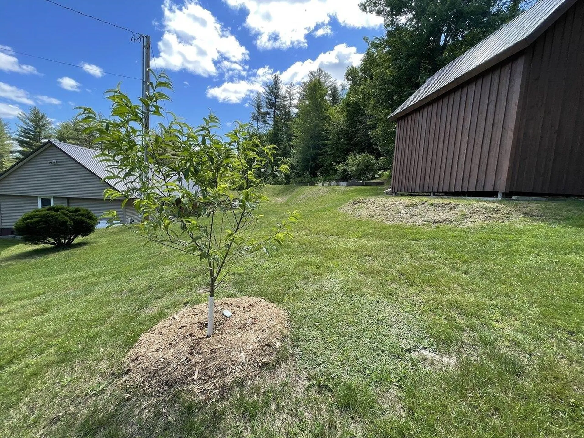 335 Elmore Pond Road Wolcott VT 05680