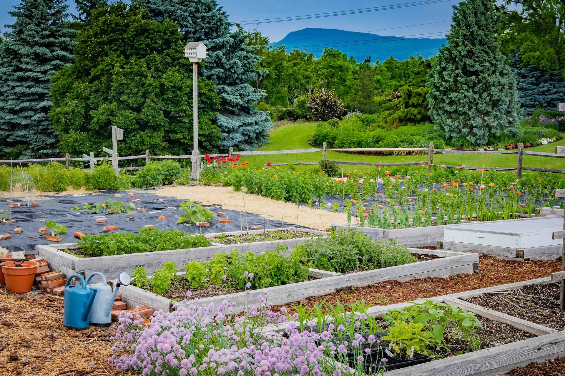 1357 Vt Route 17e Addison VT 05491