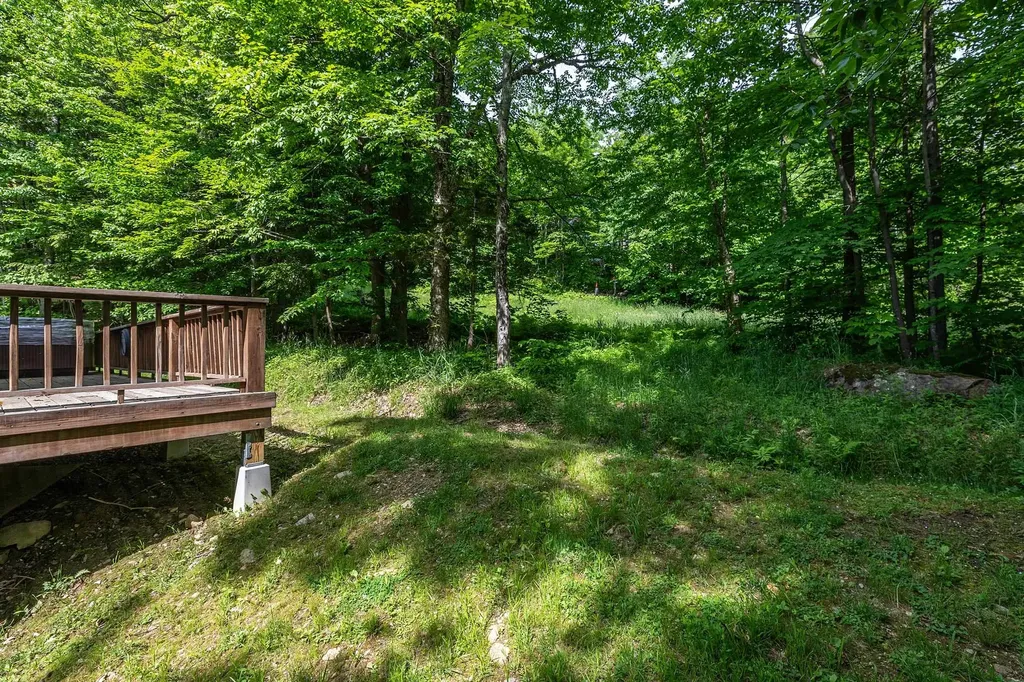 380 Ghia Farm Road Ludlow VT 05149