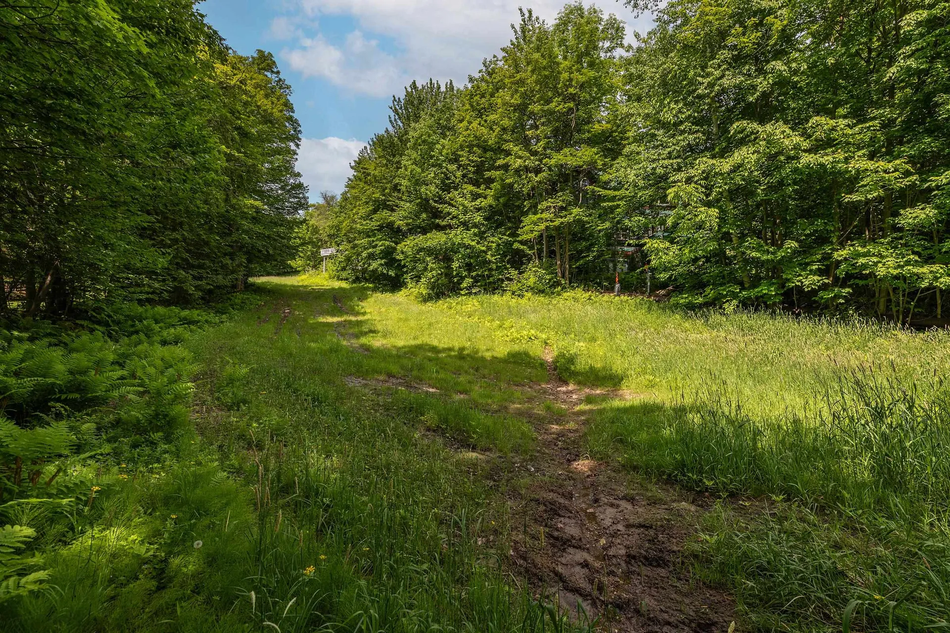 380 Ghia Farm Road Ludlow VT 05149