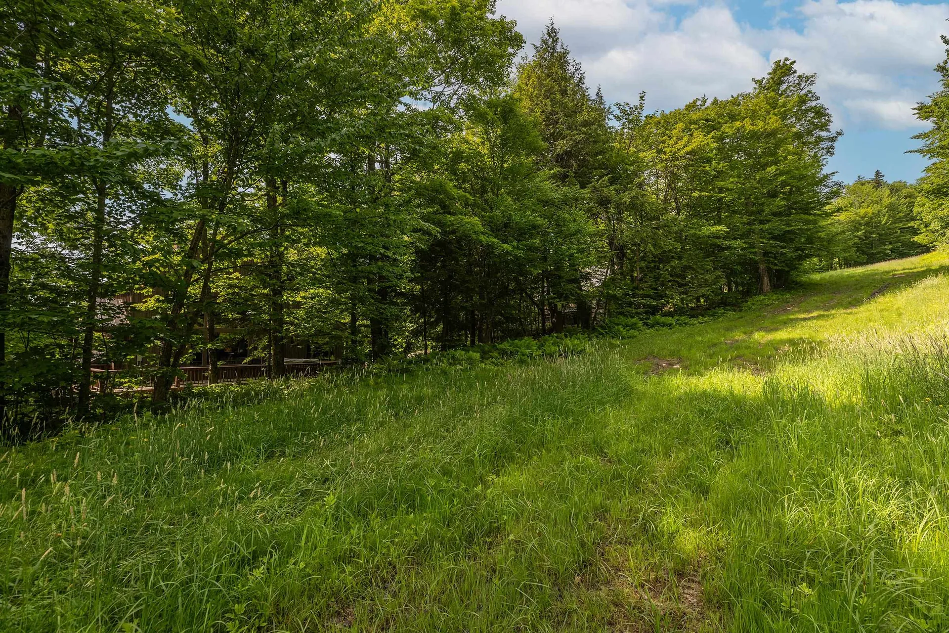 380 Ghia Farm Road Ludlow VT 05149