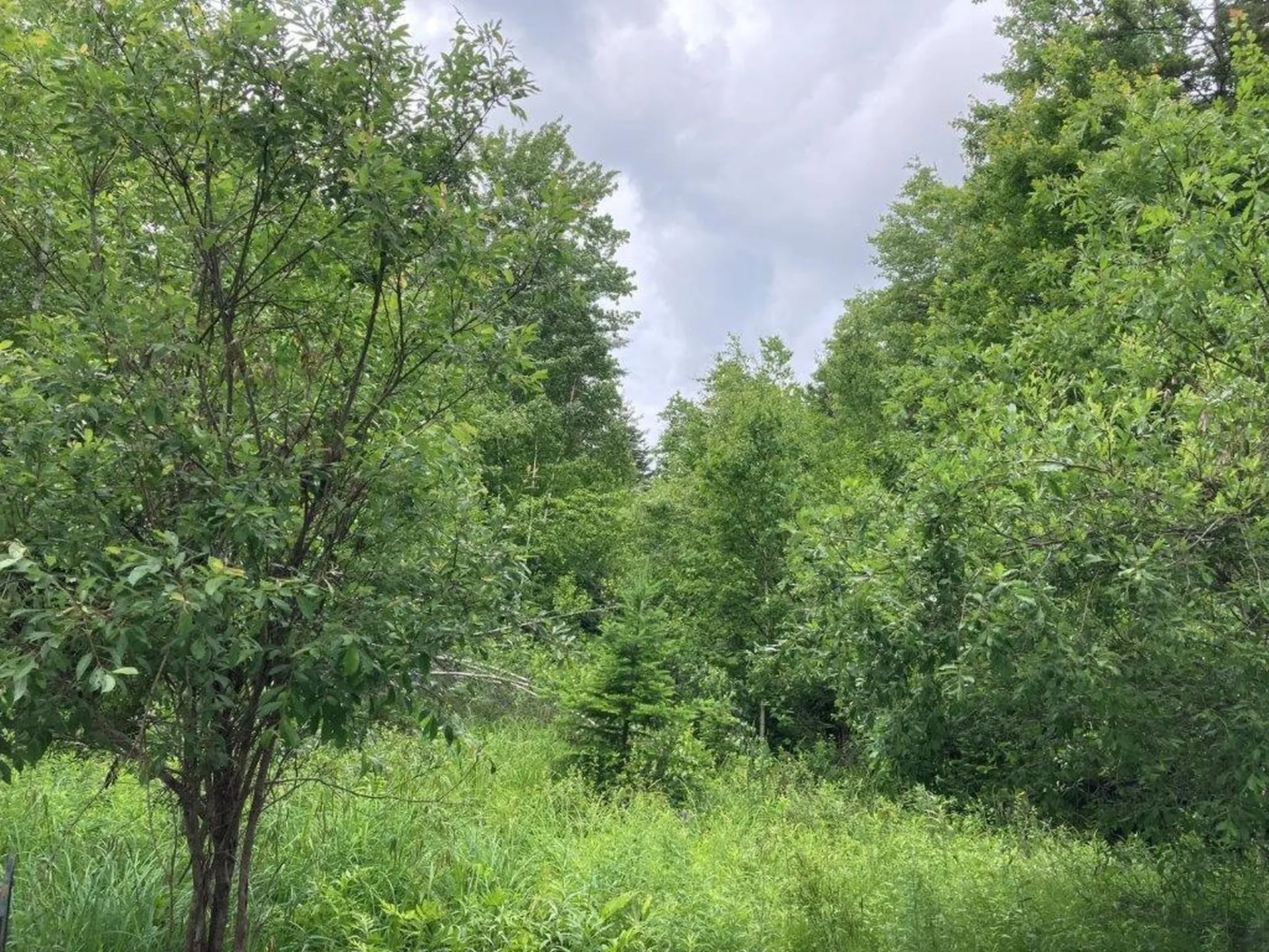 River Road Canaan NH 03741