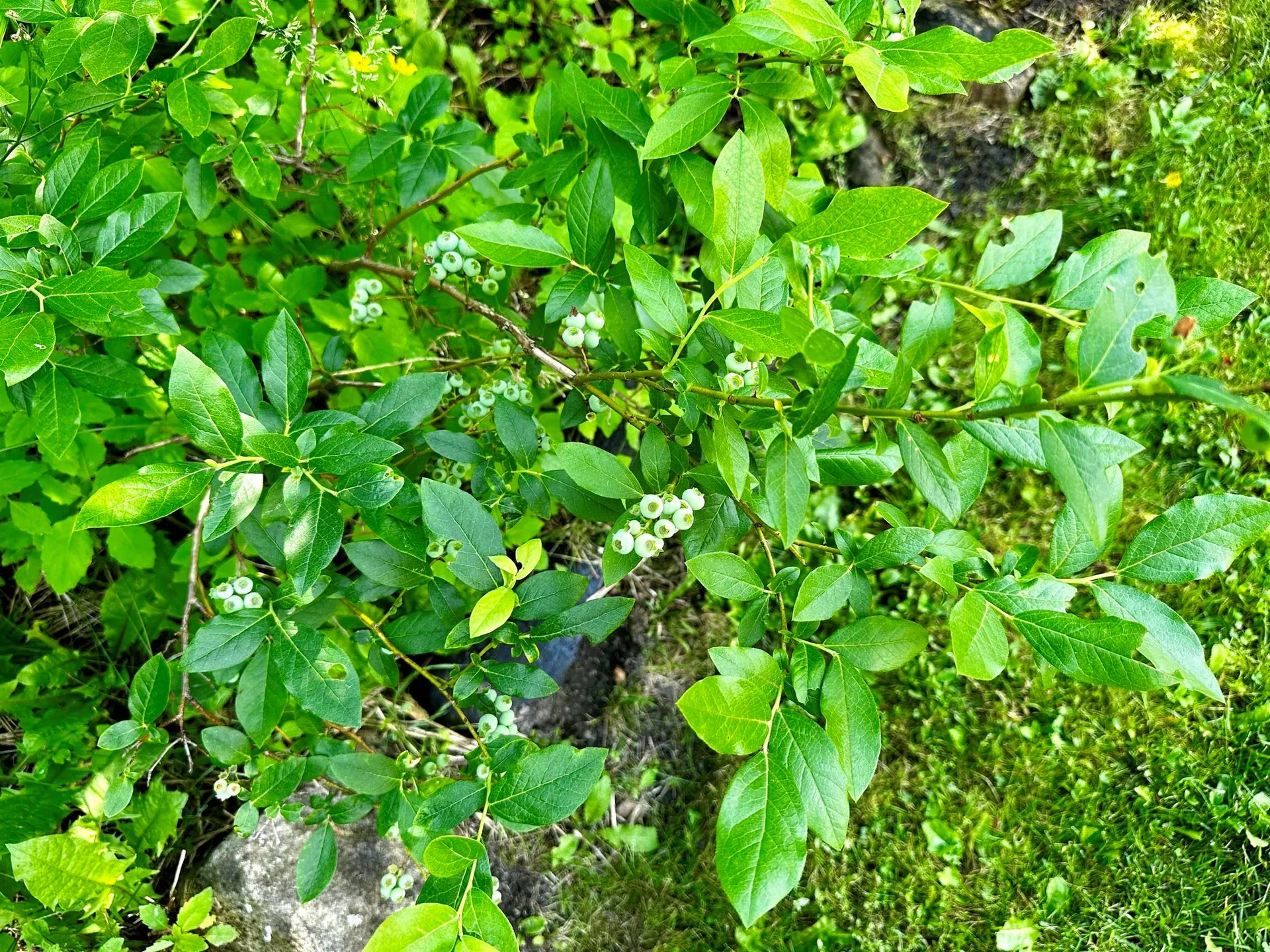 593 Graniteville Road Barre Town VT 05641