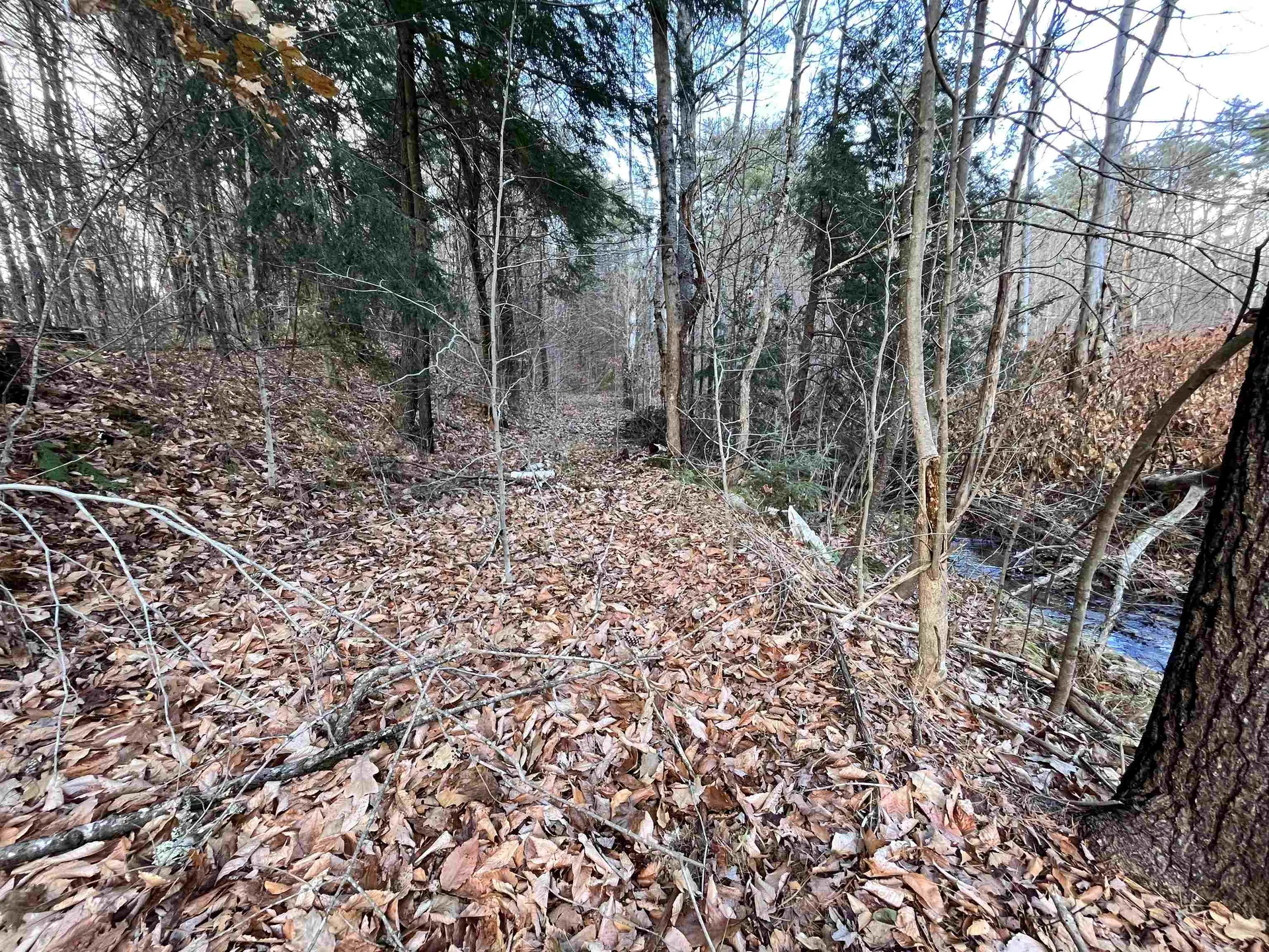 000 Route 114 Sutton NH 03221