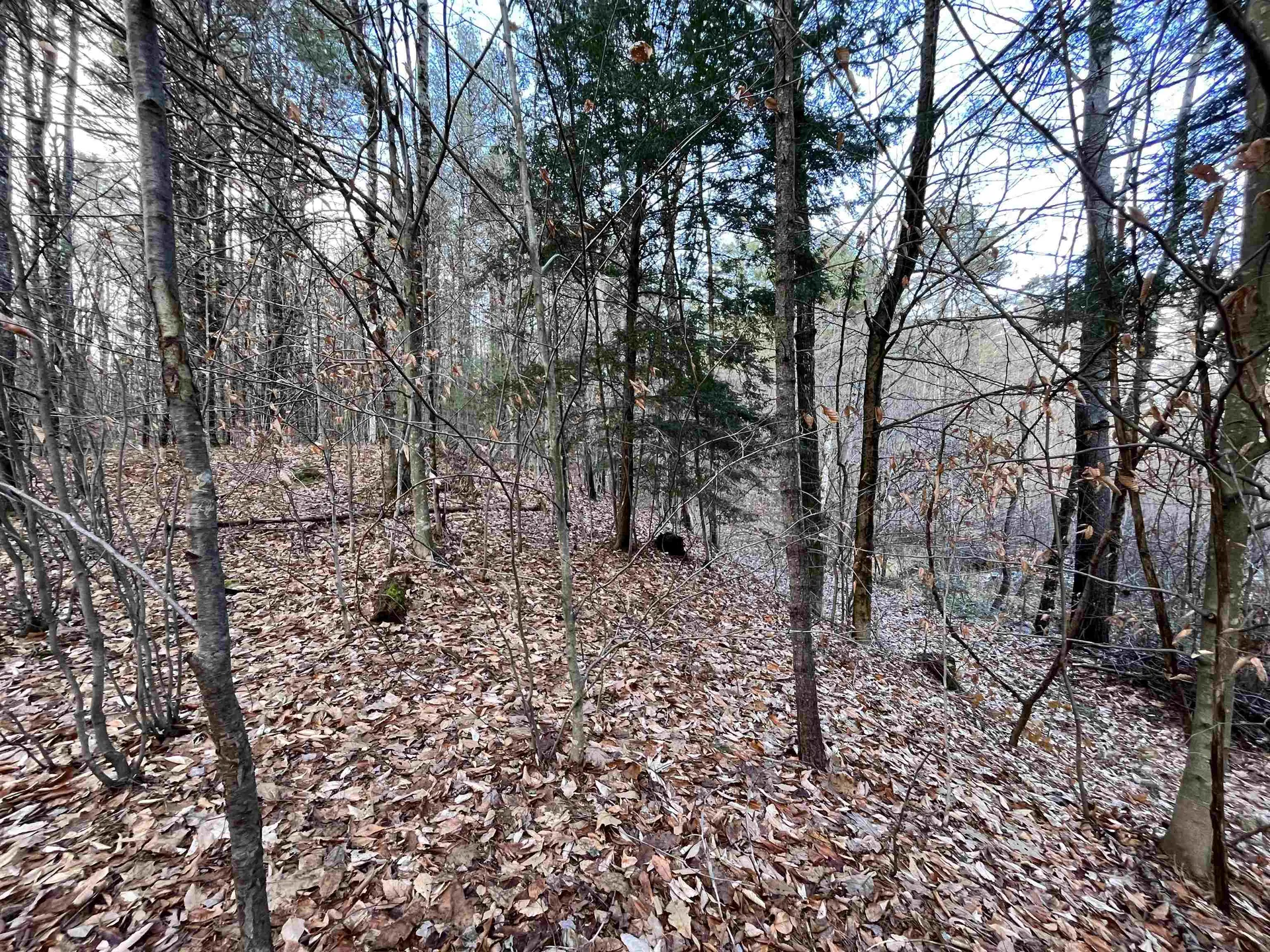 000 Route 114 Sutton NH 03221