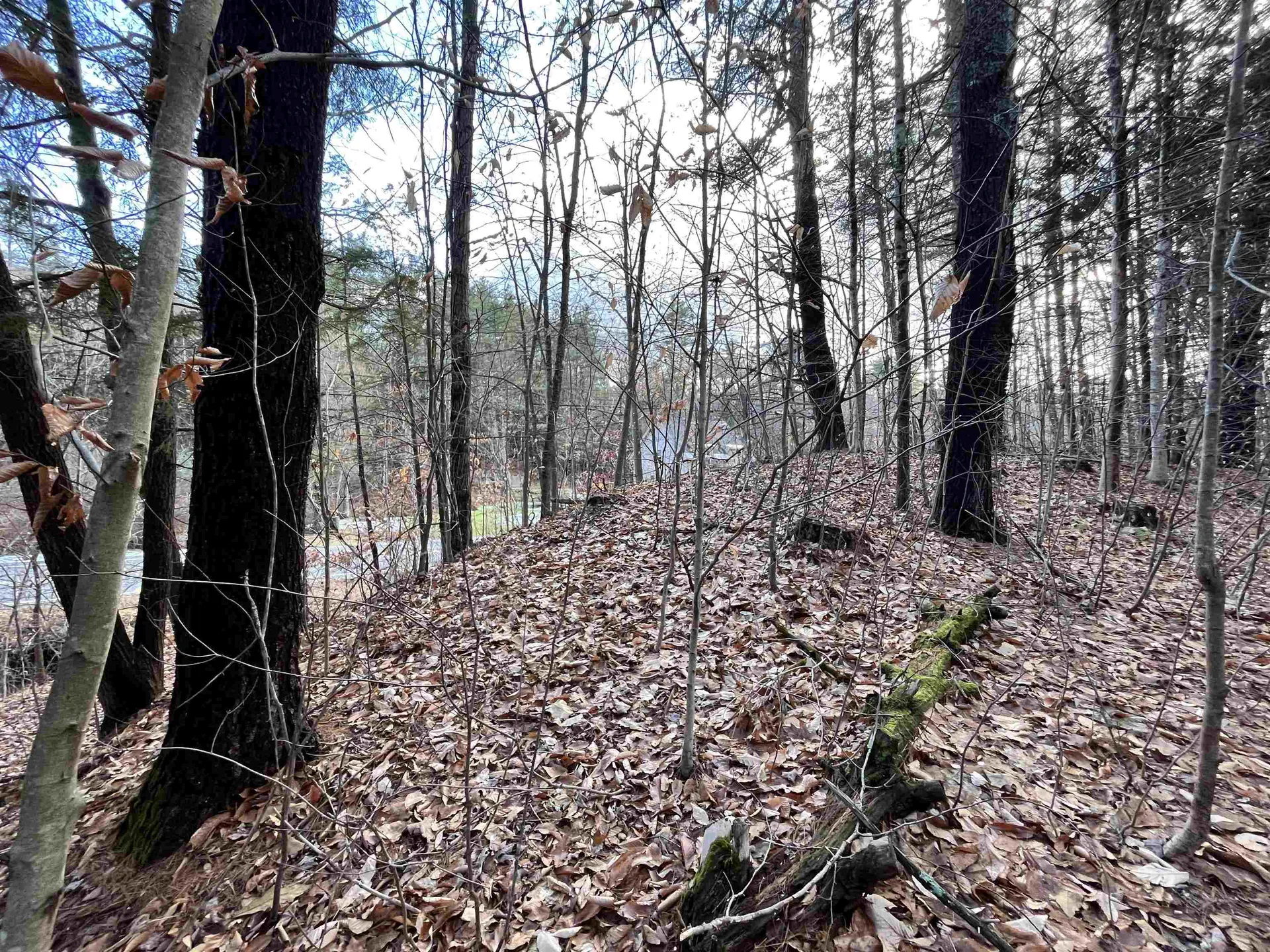 000 Route 114 Sutton NH 03221