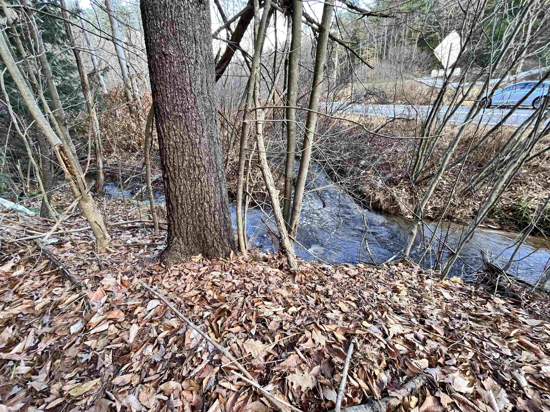 000 Route 114 Sutton NH 03221