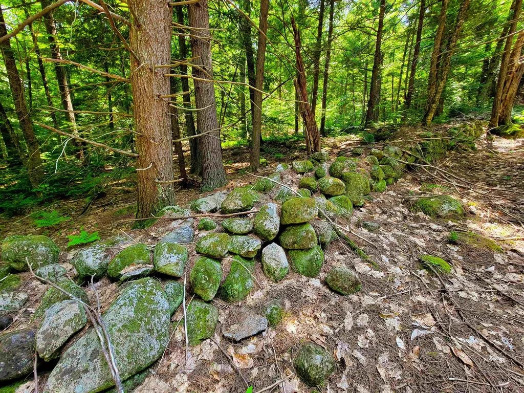 84 Hemp Hill Road Bristol NH 03222