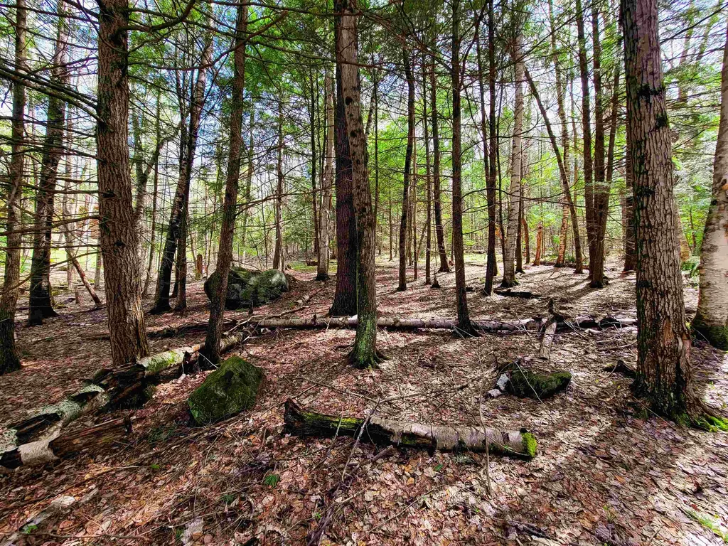 84 Hemp Hill Road Bristol NH 03222