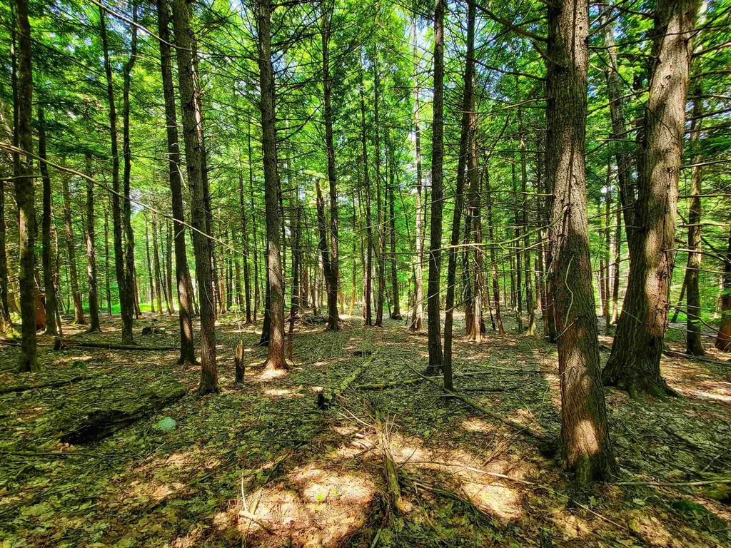 84 Hemp Hill Road Bristol NH 03222