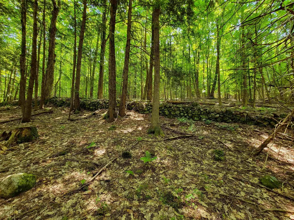 84 Hemp Hill Road Bristol NH 03222