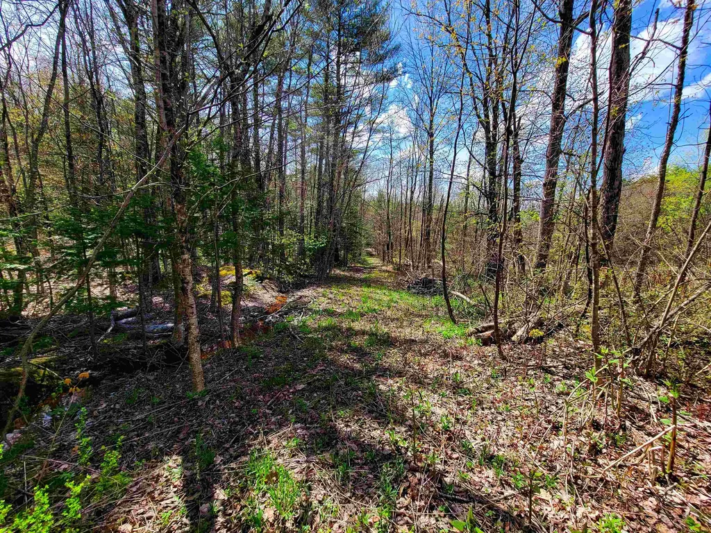 84 Hemp Hill Road Bristol NH 03222