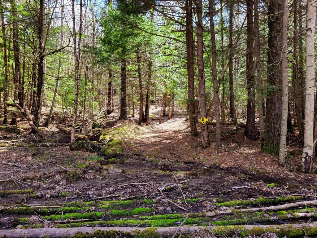 84 Hemp Hill Road Bristol NH 03222