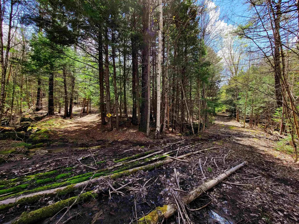84 Hemp Hill Road Bristol NH 03222