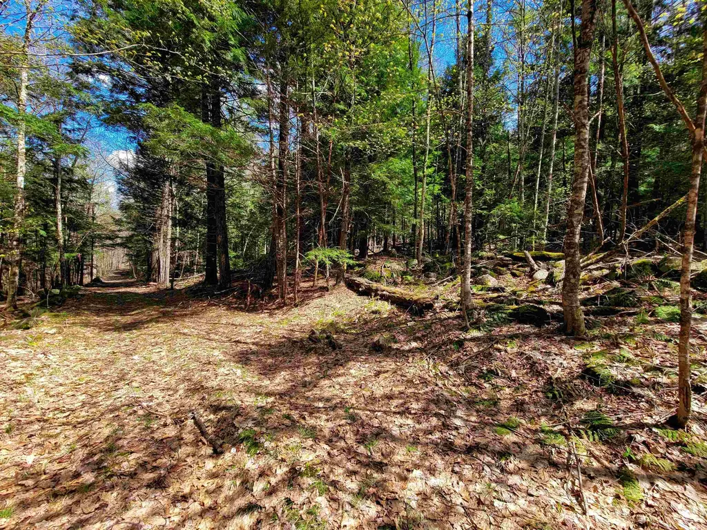 84 Hemp Hill Road Bristol NH 03222