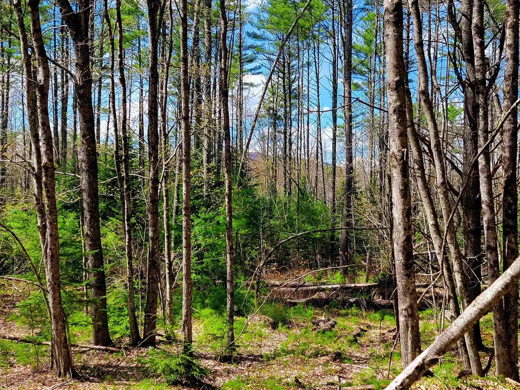 84 Hemp Hill Road Bristol NH 03222