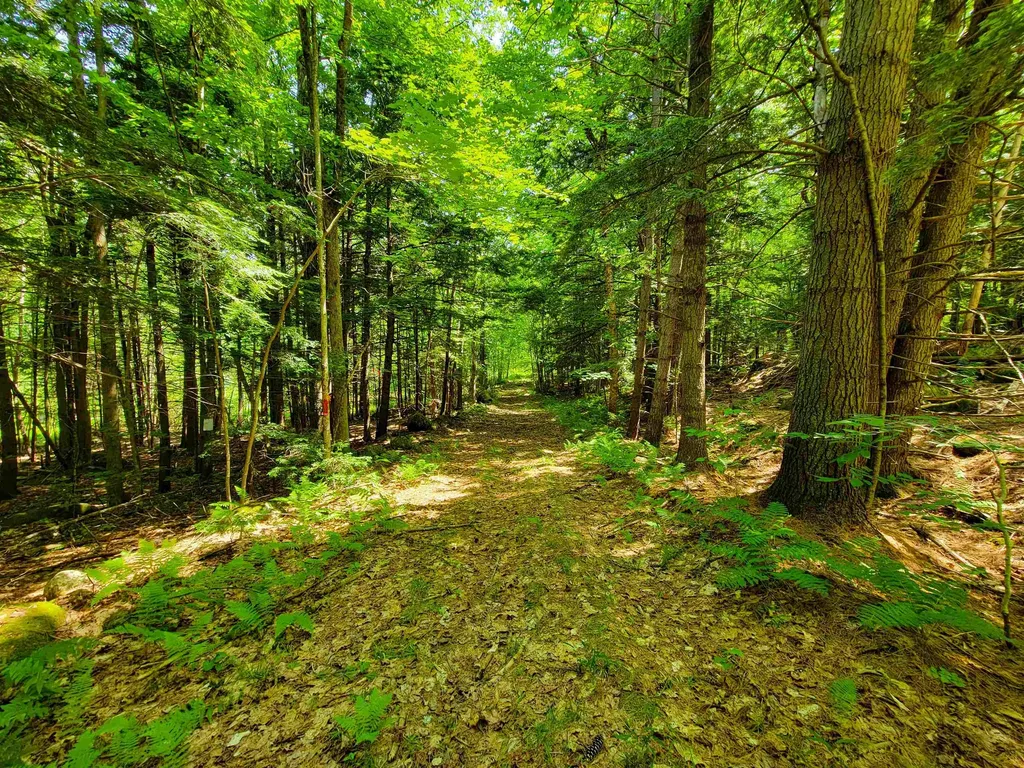 84 Hemp Hill Road Bristol NH 03222